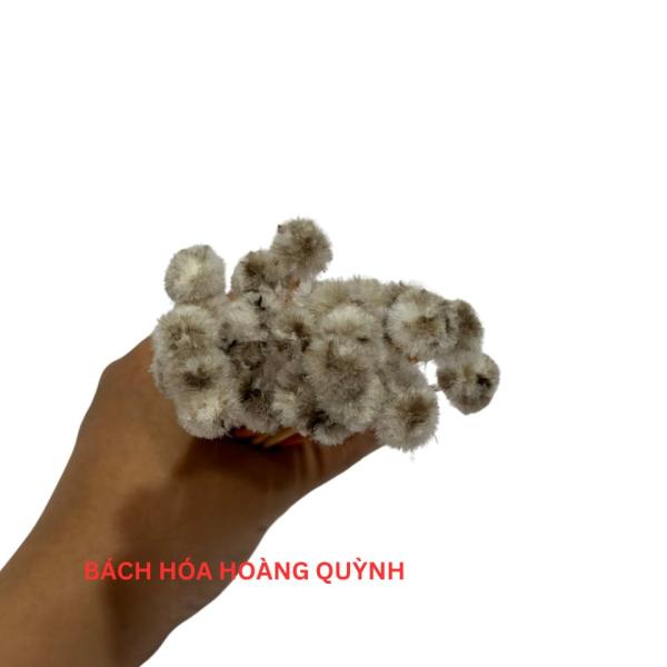 5 cây bông ngoáy tai bông ráy tai , bông se tai thân gỗ đầu lông màu xám tự nhiên size nhỏ