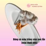 5 cây bông ngoáy tai bông ráy tai , bông se tai thân gỗ đầu lông màu xám tự nhiên size nhỏ