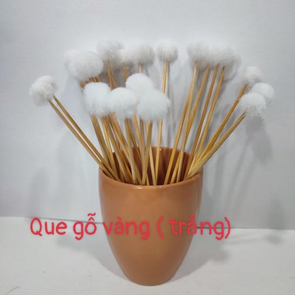 10 cây bông ngoáy tai , bông ráy tai , bông se tai thân gỗ đầu lông