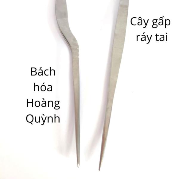 Cây nhíp gấp ráy tai Thanh Sơn