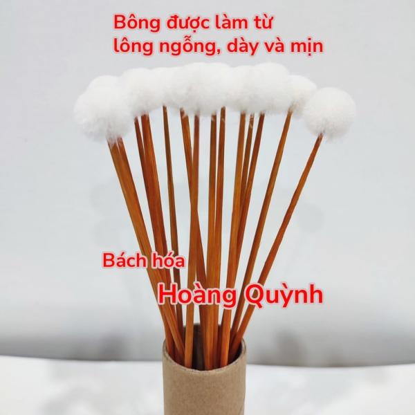 Combo 10 cây bông ngoáy tay (bông ráy tai) lông ngỗng size NHỎ