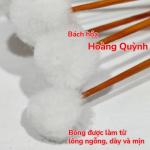 Combo 10 cây bông ngoáy tay (bông ráy tai) lông ngỗng size NHỎ