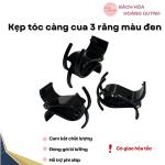 1 cái kẹp tóc càng cua 3 RĂNG màu đen