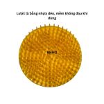 2 cái lược gai gội đầu - lược massage da đầu - kích thích lưu thông máu.(nhựa dẻo)