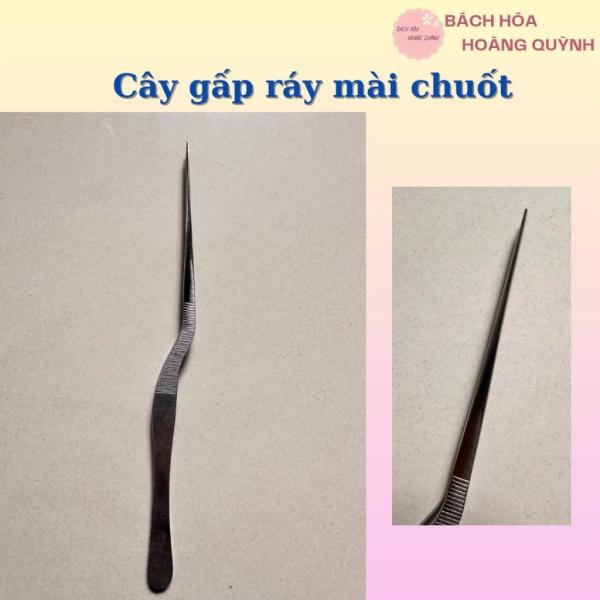 Nhíp Gấp Ráy Tai Dày Mài Chuốt Thép Không Gỉ Chuyên Nghiệp, nhíp gắp yến